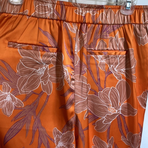 Gorgeous Satiny Joie Palazzo Pants - Picture 5 of 9